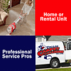 Carpet Cleaning, Do It Yourself Or Call A Pro?